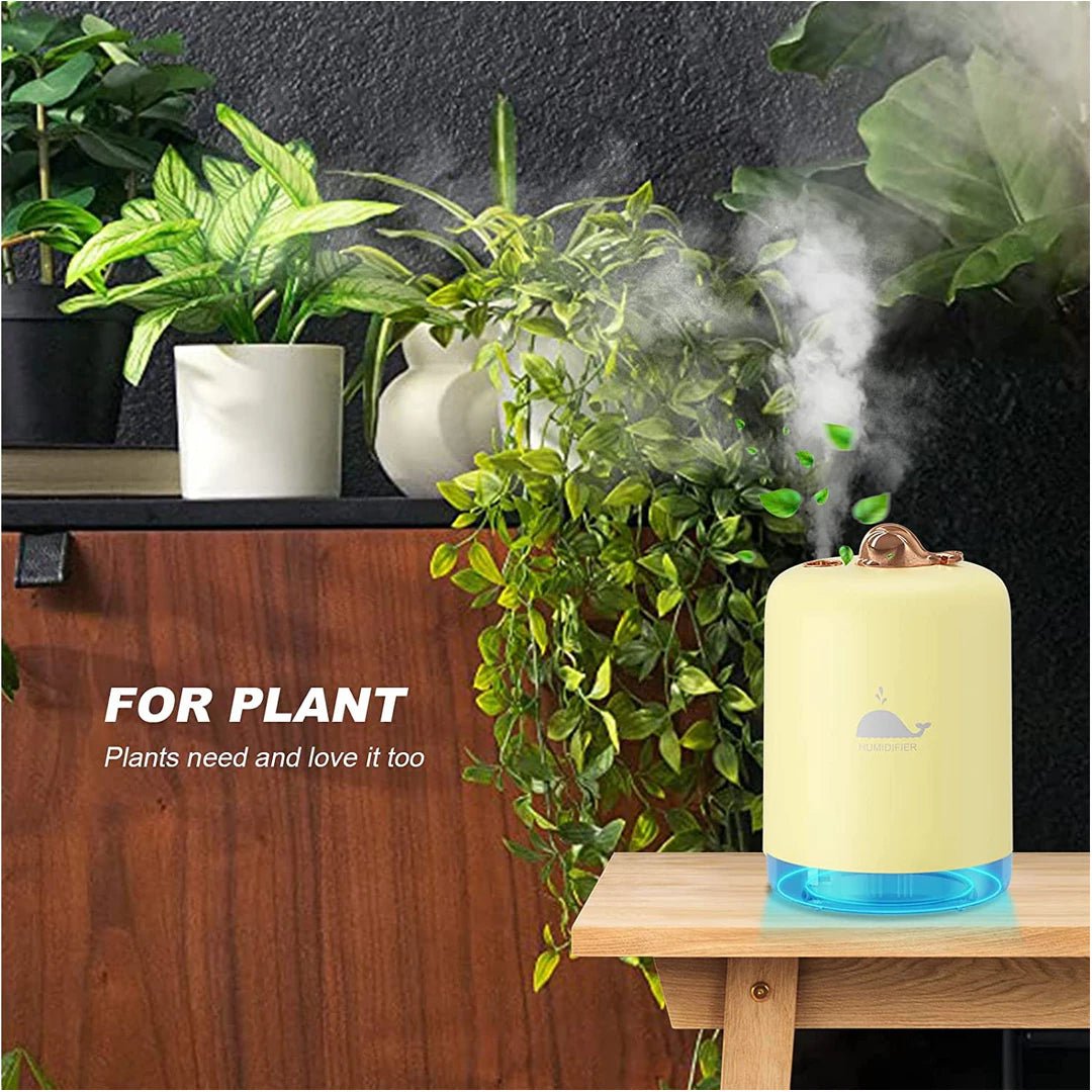 Mini Cool Mist Humidifier